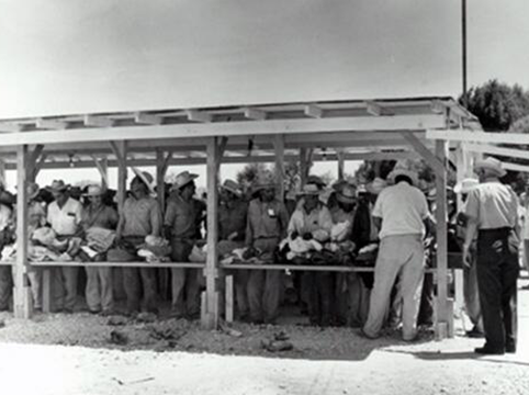 Image of Braceros undergoing Customs inspection at Hidalgo, Texas in 1957.