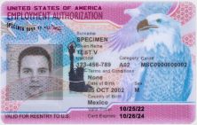 Front side of current United States Employment Authorization Card specimen (sample)