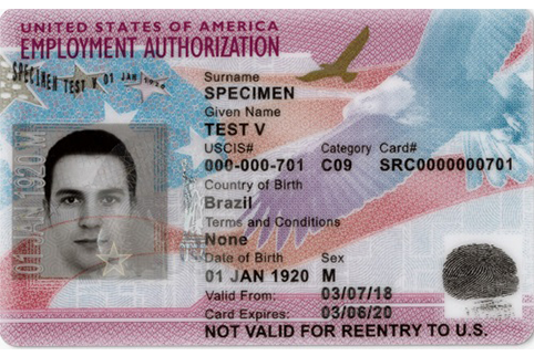 Front side of previous United States Employment Authorization Card specimen (sample)
