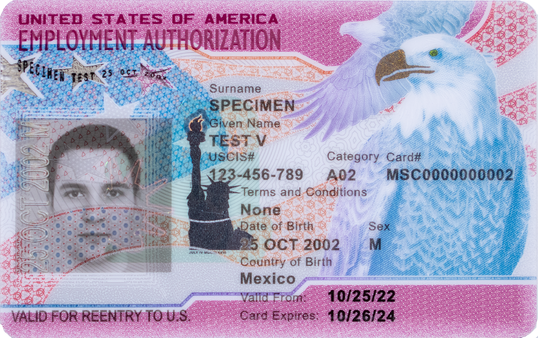 Front side of current United States Employment Authorization Card specimen (sample)