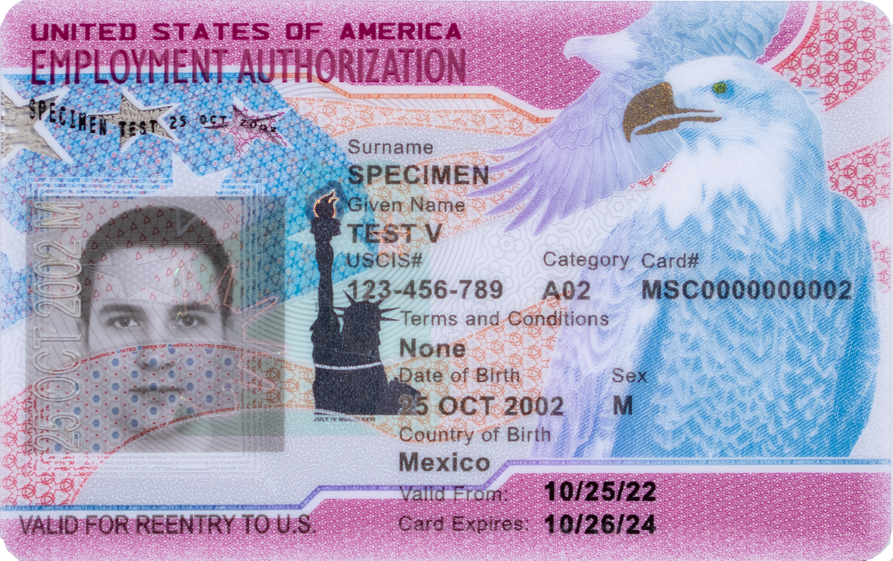 Employment Authorization Card 