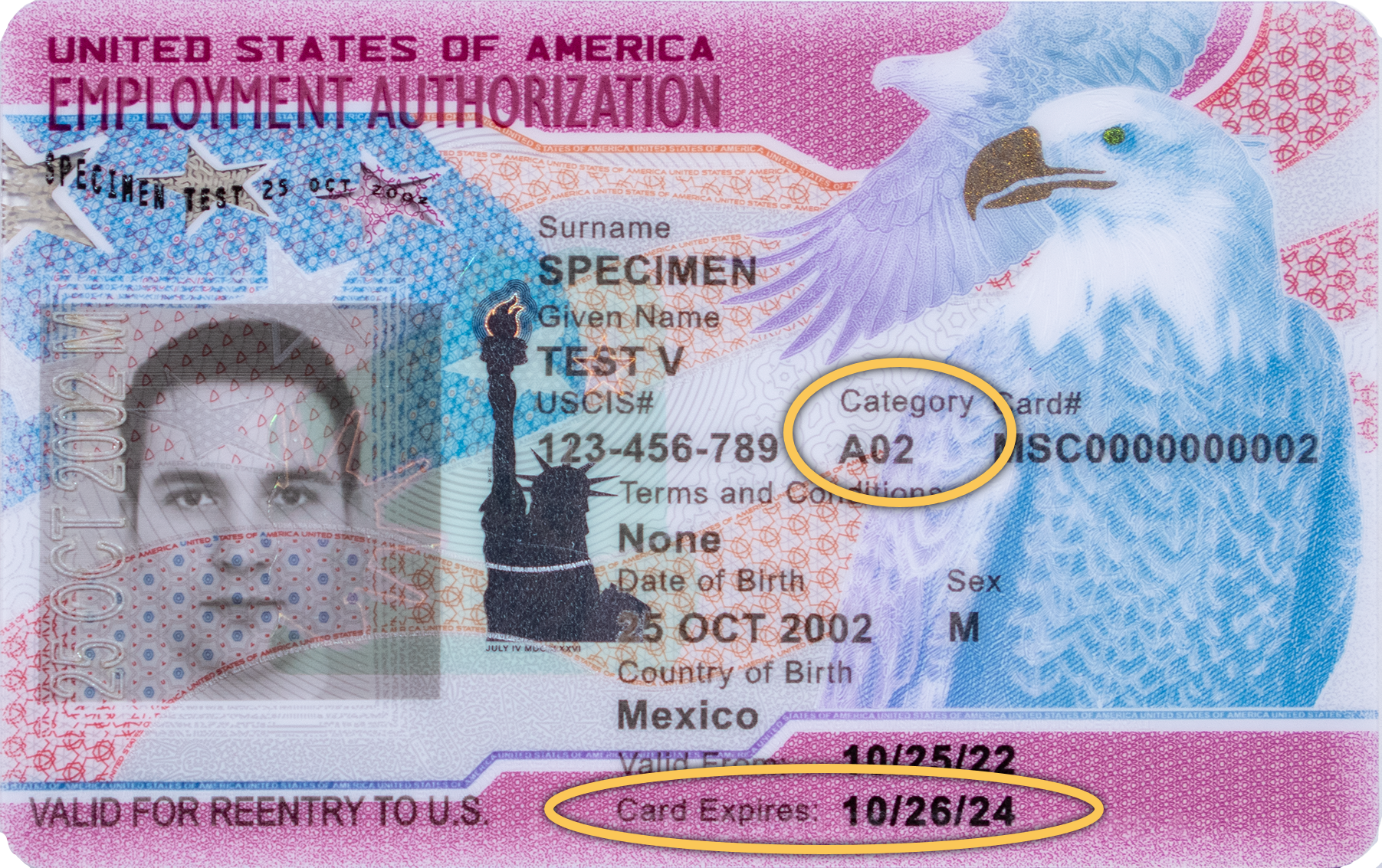 Screen capture of Sample Front View of Employment Authorization Card
