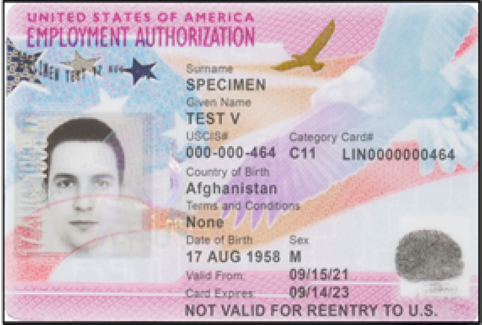 Front view of an Employment Authorization Card