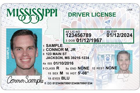 Picture of a Mississippi Drivers License