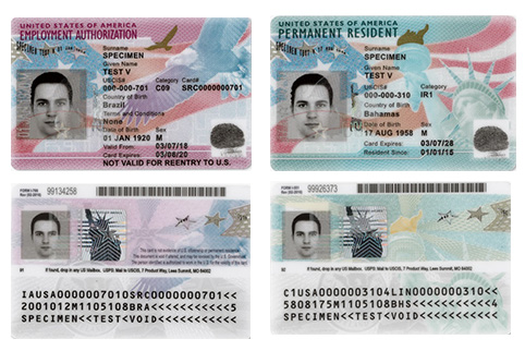 Pictures of sample EAD and Green Cards